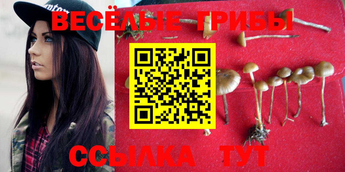 Псилоцибиновые грибы прущие грибы  Вход с VPN  Балашиха 